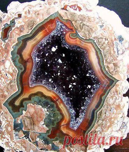 Интересные новости