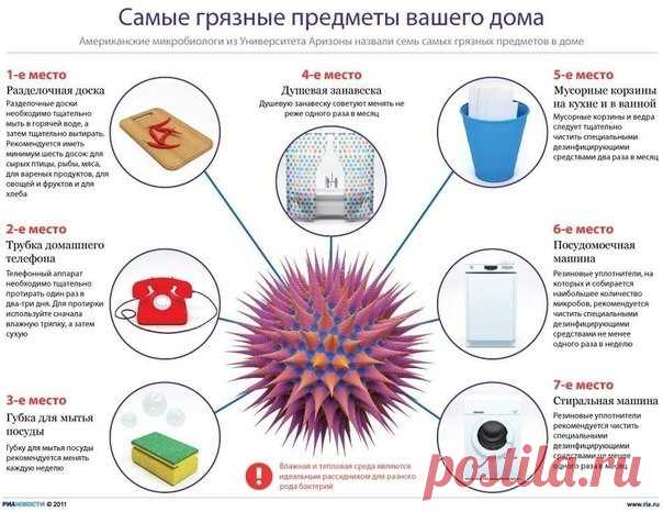 ВАЖНО! Самые грязные места и предметы в доме!
