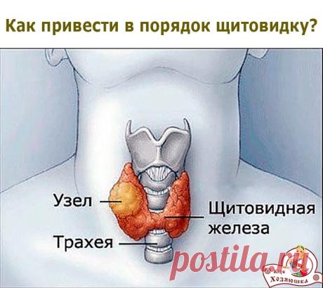 Как привести в порядок щитовидку