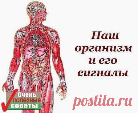 Организм сигнализирует...