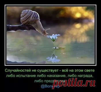 Случайностей не существует — всё на этом свете либо испытание, либо наказание, либо награда, либо предвестие. © Вольтер