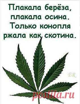 no koments
