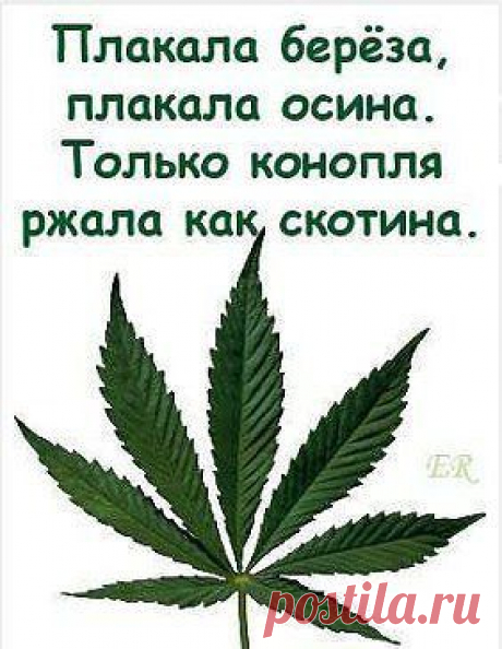 no koments