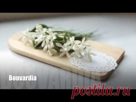 How to make paper flowers ; Bouvardia FREE Tutorial. SO EASY!