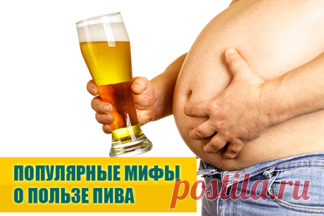 Популярные мифы о пользе пива | Полезные советы