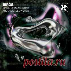 Birds - Space Transmissions From A Cruel World (2025) [EP] Artist: Birds Album: Space Transmissions From A Cruel World Year: 2025 Country: Netherlands Style: Electro, Techno, Minimal Wave