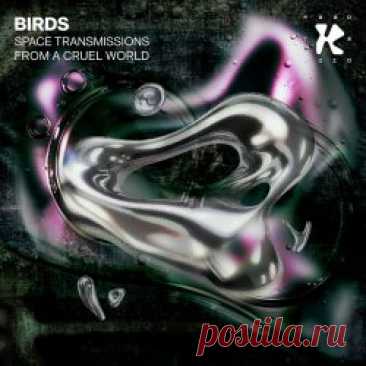 Birds - Space Transmissions From A Cruel World (2025) [EP] Artist: Birds Album: Space Transmissions From A Cruel World Year: 2025 Country: Netherlands Style: Electro, Techno, Minimal Wave