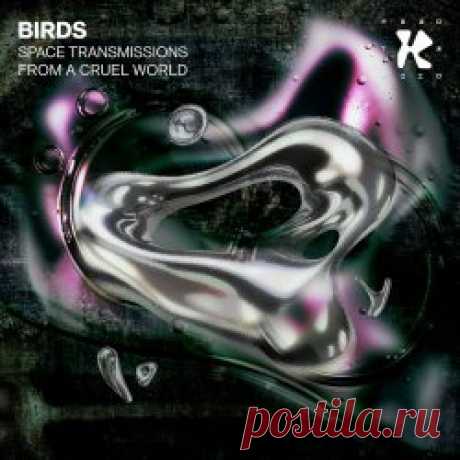 Birds - Space Transmissions From A Cruel World (2025) [EP] Artist: Birds Album: Space Transmissions From A Cruel World Year: 2025 Country: Netherlands Style: Electro, Techno, Minimal Wave
