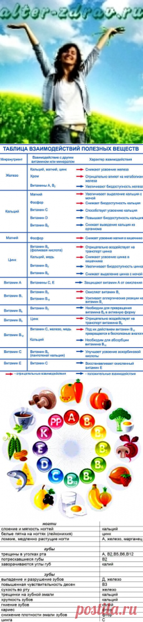 Витамины и микроэлементы, таблица содержания витаминов в продуктах