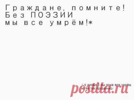 Светлана Мамеко
