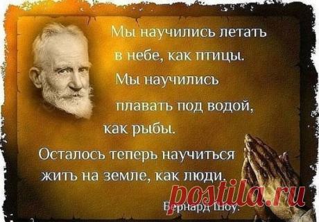 (63) Однокласники