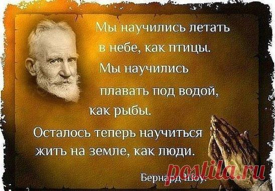 (63) Однокласники