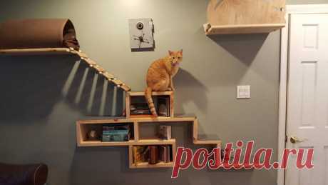 Настенная мебель (полка) для кошек своими руками