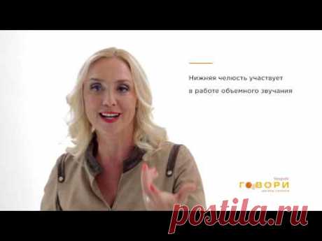 Четкость дикции