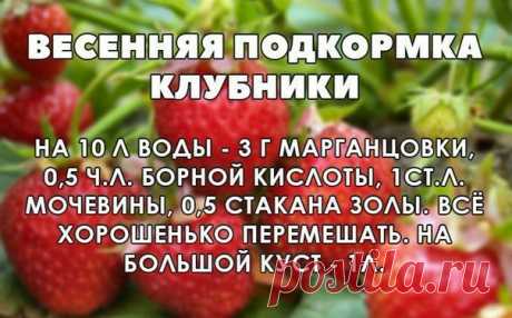 ЗАГОРОДНЫЙ ДОМ (ДАЧА) или Во саду ли, в огороде