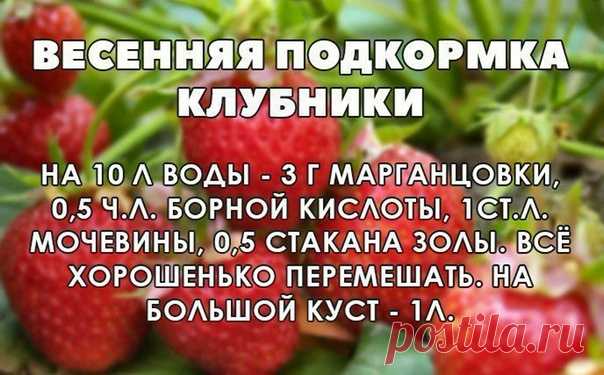 ЗАГОРОДНЫЙ ДОМ (ДАЧА) или Во саду ли, в огороде