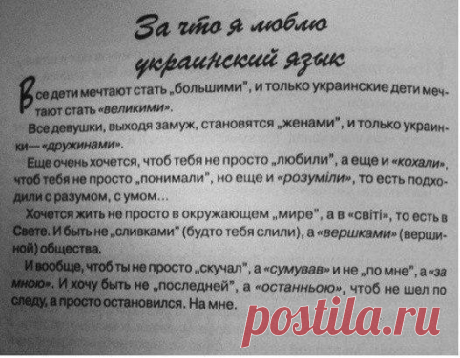 (4) Украина в шоке - Публикации