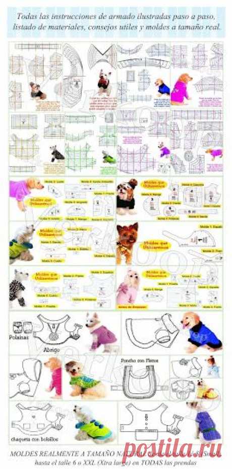 (3) Pinterest