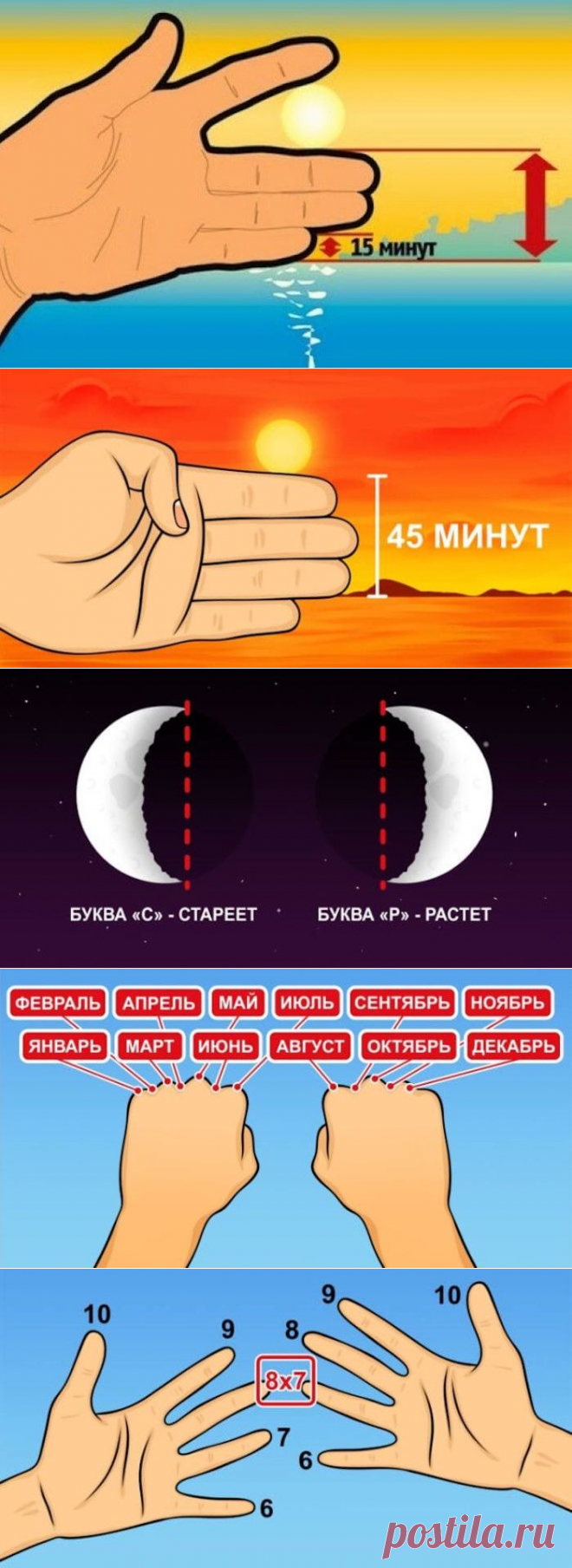 Школьные шпаргалки для взрослых