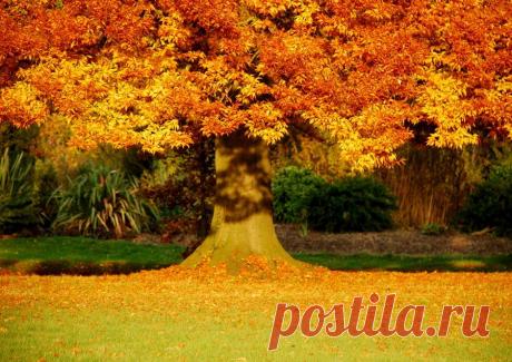 Прощай красавица осень 2016