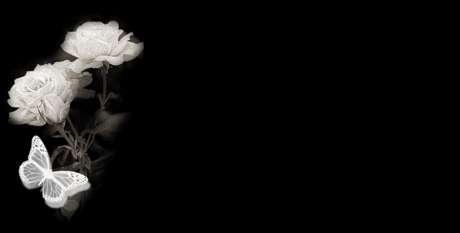 tumblr_static_sparkly_white_roses.gif (1024×518)