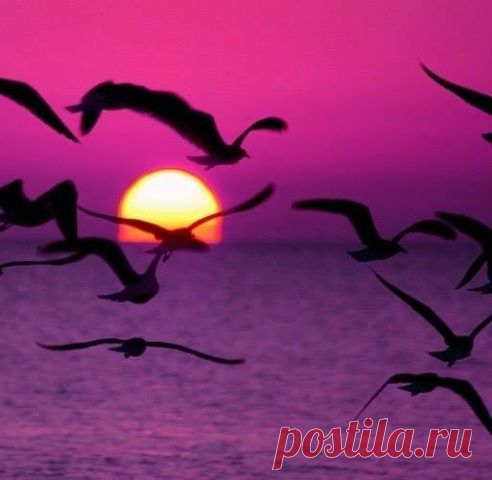 Копилка Впечатлений.
Наталья Ерешкина