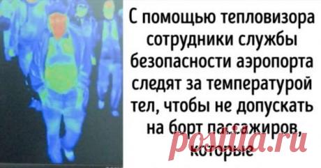 20+ секретов, которыми работники аэропортов не делятся с обычными авиапассажирами . Милая Я