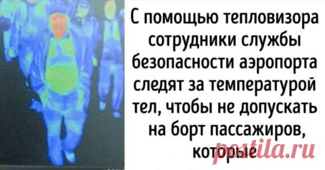20+ секретов, которыми работники аэропортов не делятся с обычными авиапассажирами . Милая Я