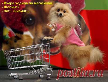 зыринг...