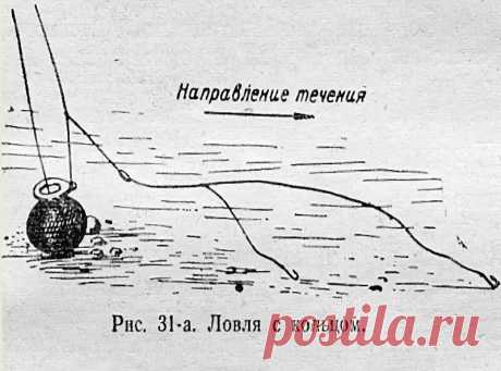 Как обойти нерестовый запрет и законно ловить на «кольцовку»?