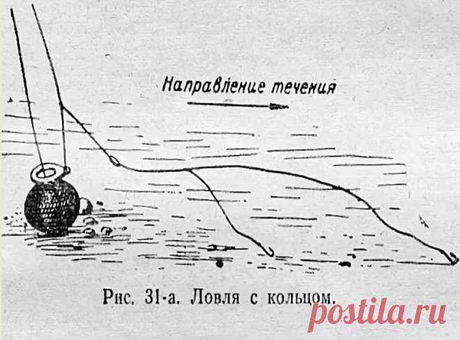 Как обойти нерестовый запрет и законно ловить на «кольцовку»?