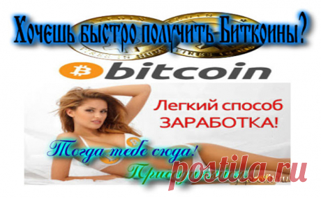 Как Заработать биткойны в проекте 1-9-90? Ежедневное получение денег в криптовалюте биткойн, доллар и евро сидя дома и работая в интернете!