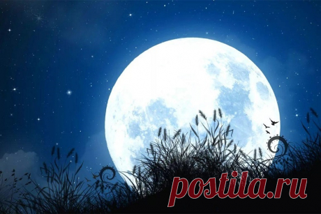 Лунный посевной календарь на 2020 год | Делаем правильно В нашем лунном календаре учитываются четыре фазы луны: новолуние, растущая луна, полнолуние и убывающая луна. Благоприятные и неблагоприятные дни.