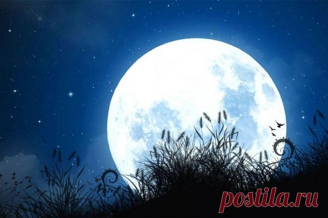 Лунный посевной календарь на 2020 год | Делаем правильно В нашем лунном календаре учитываются четыре фазы луны: новолуние, растущая луна, полнолуние и убывающая луна. Благоприятные и неблагоприятные дни.