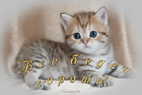 10937283.gif (900×600)