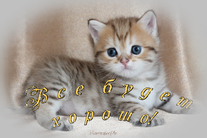10937283.gif (900×600)
