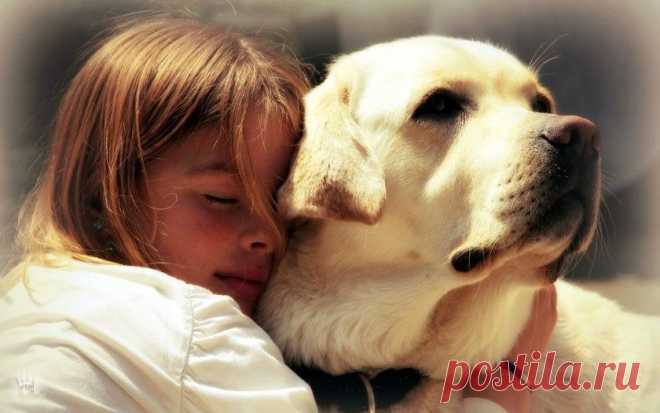 Фотографии loner ! - 655 фото в Моем Мире.