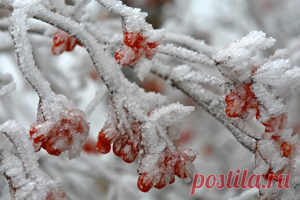ИОСИФ БРОДСКИЙ. БЫВАЕТ...