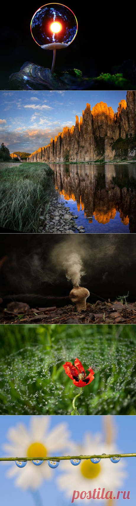 Природа — самый лучший художник! 15 работ конкурса «Дикая природа России 2015» от National Geografic — Фотоискусство