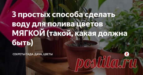 3 простых способа сделать воду для полива цветов МЯГКОЙ (такой, какая должна быть) Всем известно, что полив и опрыскивание жёсткой водой вредит комнатным цветам. Навскидку: соли кальция и магния делают недоступными для растений химические элементы, нужные для питания. Не буду расписывать всю реакцию. Поэтому наши цветы хуже выглядят, замедляют рост, бедно цветут.
Решить проблему (смягчить воду до приемлемого уровня) не так то сложно, используя некоторые способы. Если у вас нет в