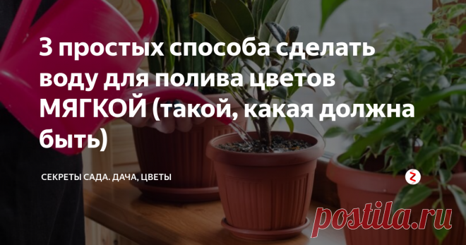 3 простых способа сделать воду для полива цветов МЯГКОЙ (такой, какая должна быть) Всем известно, что полив и опрыскивание жёсткой водой вредит комнатным цветам. Навскидку: соли кальция и магния делают недоступными для растений химические элементы, нужные для питания. Не буду расписывать всю реакцию. Поэтому наши цветы хуже выглядят, замедляют рост, бедно цветут.
Решить проблему (смягчить воду до приемлемого уровня) не так то сложно, используя некоторые способы. Если у вас нет в