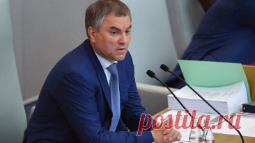 Володин предложил оценить влияние законодательных решений на демографию