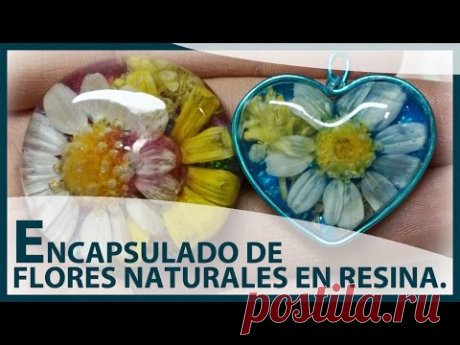 ENCAPSULADO DE FLORES NATURALES EN RESINA UV. Charms o colgantes de flores silvestres.