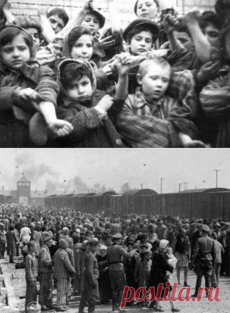 Рапорт акушерки из Освенцима. | ЖЕНСКИЙ МИР