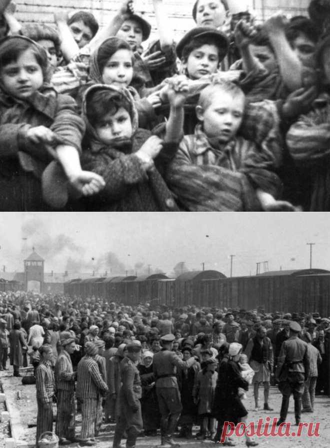 Рапорт акушерки из Освенцима. | ЖЕНСКИЙ МИР