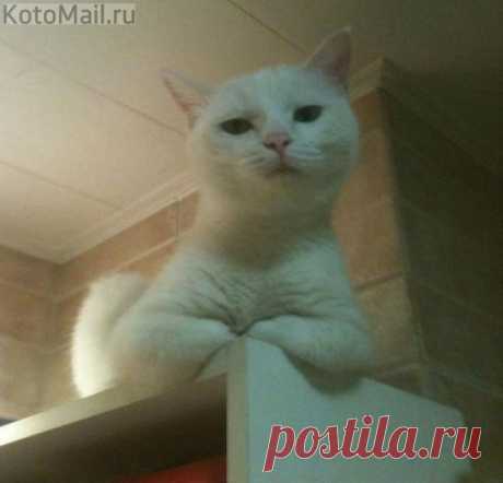 Ну и где ты шлялся?