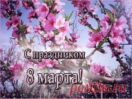 Поздравляю с Женским Днём!
И желаю, чтобы в нём
Уместились ожерельем:
Духи, шуба, украшенья,
Утром  завтрак и цветы,
Днём  кафе без суеты,
Бутики, салоны спа,
Чтоб кружилась голова.
Рядом трепетный мужчина,
Поцелуи без причины,
Серенады под окном,
Чтоб завидовал весь дом,
Ещё быть всегда любимой
И конечно же счастливой!!!
С 8 МАРТА!!!