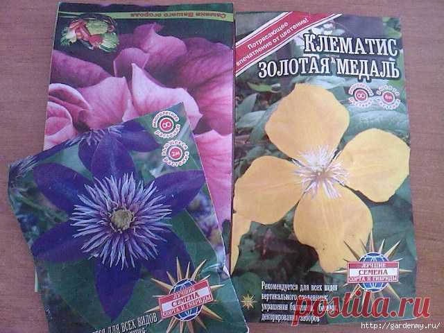 ВЫРАЩИВАНИЕ КЛЕМАТИСОВ ИЗ СЕМЯН