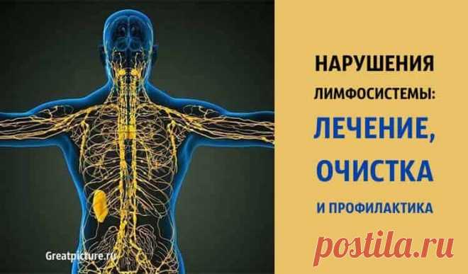 Нарушения ЛИМФОСИСТЕМЫ: лечение, очищение и профилактика