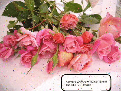 Галина Шаталова (Галина Шаталова), Москва, Россия на Мой Мир@Mail.RU